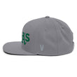 Load image into Gallery viewer, VEGA'S Greys Snapback Hat